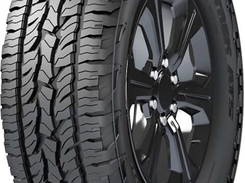 Neumatico Dunlop At5 265 65 R17 Toyota Hilux